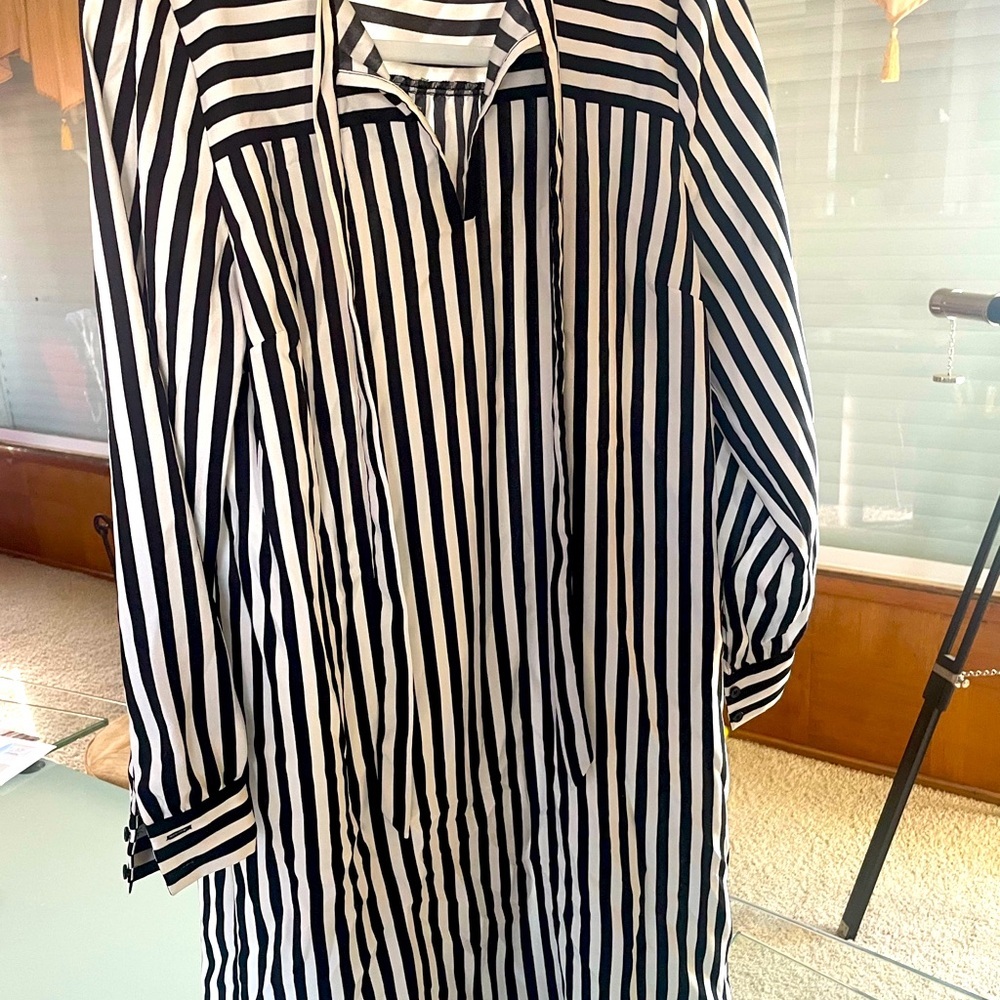 Gorgeous Lightweight Silk Blouse (Springtime) - Loft